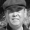 오월숲 이미지