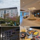 | LA 여행 | 엘에이 하얏트 플레이스 파사데나 | 주차비 아끼는 꿀팁, 조식 후기, 방 & 수영장 솔직후기