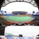 빅버드