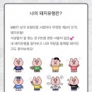 나돼지 이미지