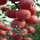 "화1팀" 문화재 지킴이활동 -경상감영에서 (9.28.) 이미지