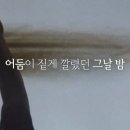 계엄 막다 돌아가신 김오랑 중령, 정선엽 하사 훈장과 국군의 날 주요 메세지 이미지