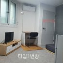 미르텔 이미지