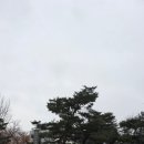 올림픽공원 수영장 토요일 2부 자유수영 후기(스윔푸드는 방이샤브 디저트는 프로퍼커피바)