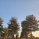 석수가든 | 금. 내돈내산 <세종오식> 1박 2일 세종 미식 여행 - 국립세종수목원 / 3. 석수라: 빠스타스 세종 종촌점