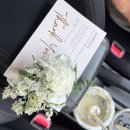 밀러3 | [신혼집 인테리어] 시몬스 지젤 LK 라이트노체 솔직 후기(퀸즈밀러 비스코 베개)