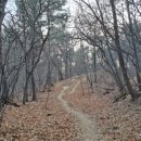 원수산 누리길 이미지