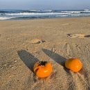 그날과일 이미지