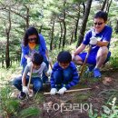 송이향 이미지