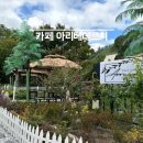 정선유치원 | 정선카페 :: 정선여행 중 발견한 고한예쁜카페 솔직후기 아리베데르치