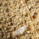 서천근린공원 이미지