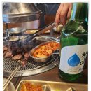 제육박사