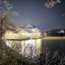 디자인그레이