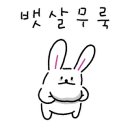 제이제이펜션 - 창원시 마산합포구 해양관광로 1243-45 | 제이제이펜션