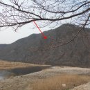 무주읍105 네이버블로그