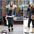 소렐(Sorrel) 이미지