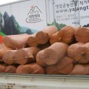 애경떡방앗간 - 영암군 낭주로 113-6 | 애경떡방앗간