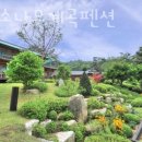 백담소나무계곡펜션 | 강원도계곡펜션 백담소나무계곡펜션 자연휴양림 안부러운 강원도가여행 숙박 숙소