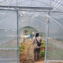 만송농장 이미지