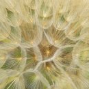 나의작은천사에게 이미지