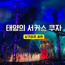 태양처럼 | 싱가포르 태양의서커스 쿠자 후기 티켓할인 가격 예매꿀팁