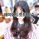 컷트의 성지 이미지