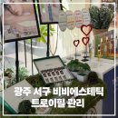 광주 상무지구 쌍촌동 비비에스테틱 트로이필 1:1맞춤관리 후기 피부톤 정리된 날