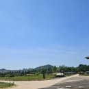 심해진 | [미레나 후기] 갑자기 심해진 생리통! 가격, 통증, 부작용 솔직 정리