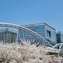 금토천 티스토리