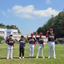 고고베이스볼