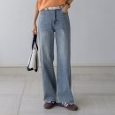 세미폭스 이미지