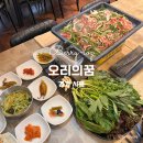정왕동맛집 오리의꿈 몸보신하러 가기 좋은 곳 탑 오리 불고기, 한방 유황오리 샤브식 전골 후기