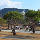 한국전통문화대학교 네이버블로그