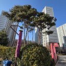 라인공인중개사사무소 | 옥길LH센트럴힐 옥길라인공인중개사사무소 책임중개하고 있어요