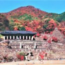삼성궁 이미지
