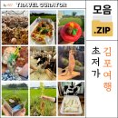 하성의미술인들협동조합 | 서울에서 가장 빠른 농촌 체험 2만 원 최저가 김포 여행 모음집