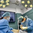 전남대학교 식물방역대학원 | 배곧24시동물병원 응급 상황, 아이가 보내는 단 한 번의 신호를 놓치지 마세요.