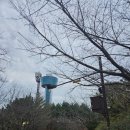 솔밭가든 이미지