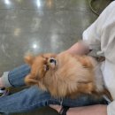 더왈츠앤조이피아 이미지
