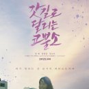 영화 갓길로 달리는 코뿔소 정보 결말 평점 후기 출연진