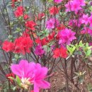 무한사랑 이미지