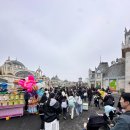 팜스월드 그린농장 | 12개월 18개월 아기랑 주말 에버랜드 오픈런 꿀팁 플랜잇3 튤립축제