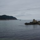 신남항 Daum카페