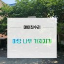 이천시노인종합복지회관 | 청주벌목업체 마당 나무 가지치기