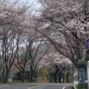 개화마을회관 네이버블로그
