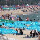 임해행정봉사실 이미지