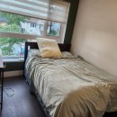 ＜ North Vancouver Room Rent 구함＞ 이미지
