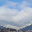 덕진축산 이미지