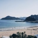 바다다음79 이미지