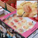 서동전통골목시장 | 울산 서동시장 과일가게 서동상회(서동과일백화점) 7월 복숭아 후기